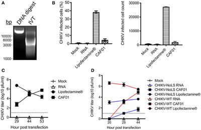 Liposomal Delivery of the RNA Genome of a Live-Attenuated Chikungunya Virus Vaccine Candidate Provides Local, but Not Systemic Protection After One Dose